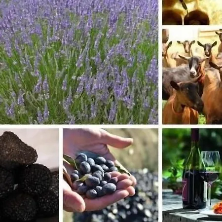 La Ferme Les Eybrachas Bed & Breakfast