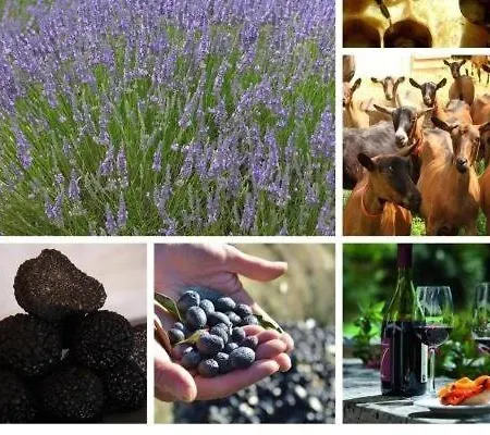 La Ferme Les Eybrachas فندق مبيت وإفطار