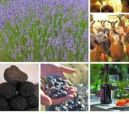 La Ferme Les Eybrachas فندق مبيت وإفطار Réauville